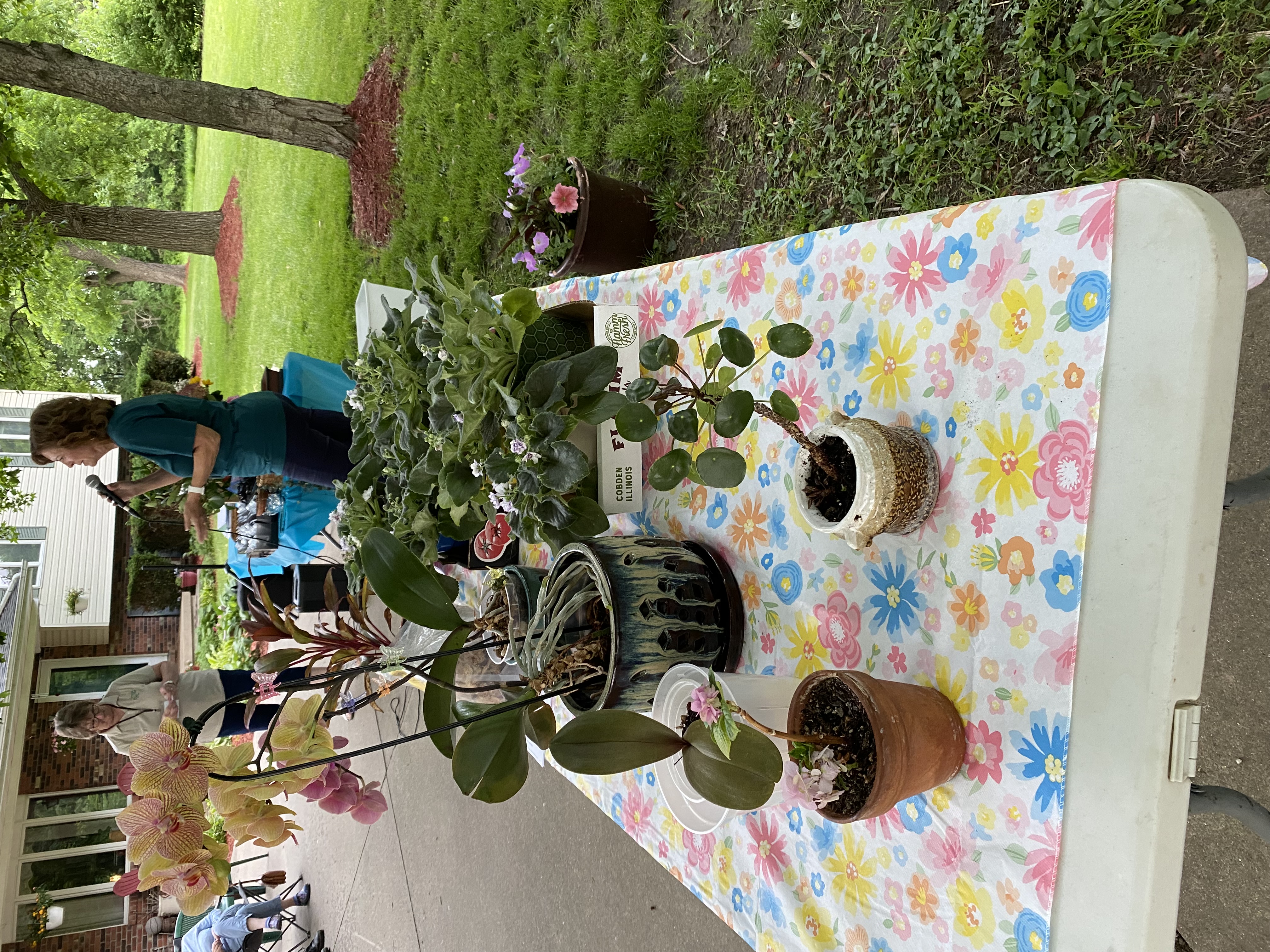 Garden photo